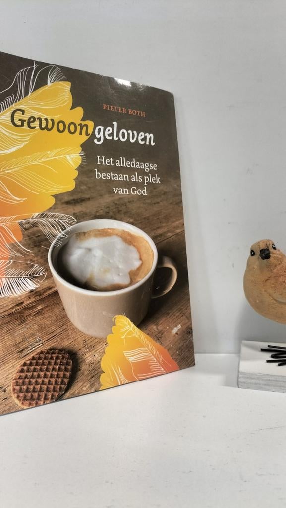 Both, Pieter; Gewoon geloven, Ophalen of Verzenden, Gelezen, Christendom | Protestants