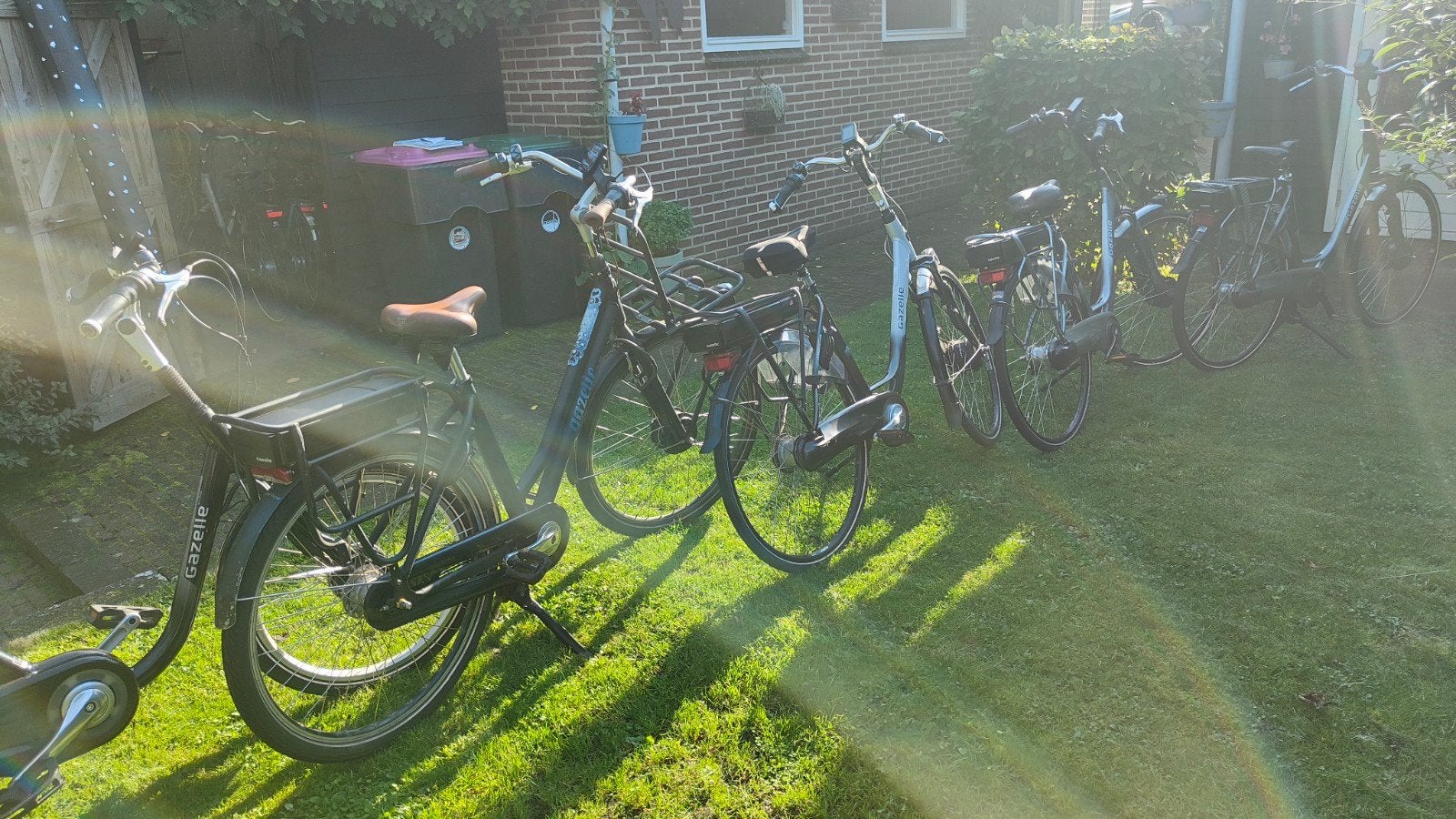 Foto 3 van Diverse Gazelle Electrische Fietsen