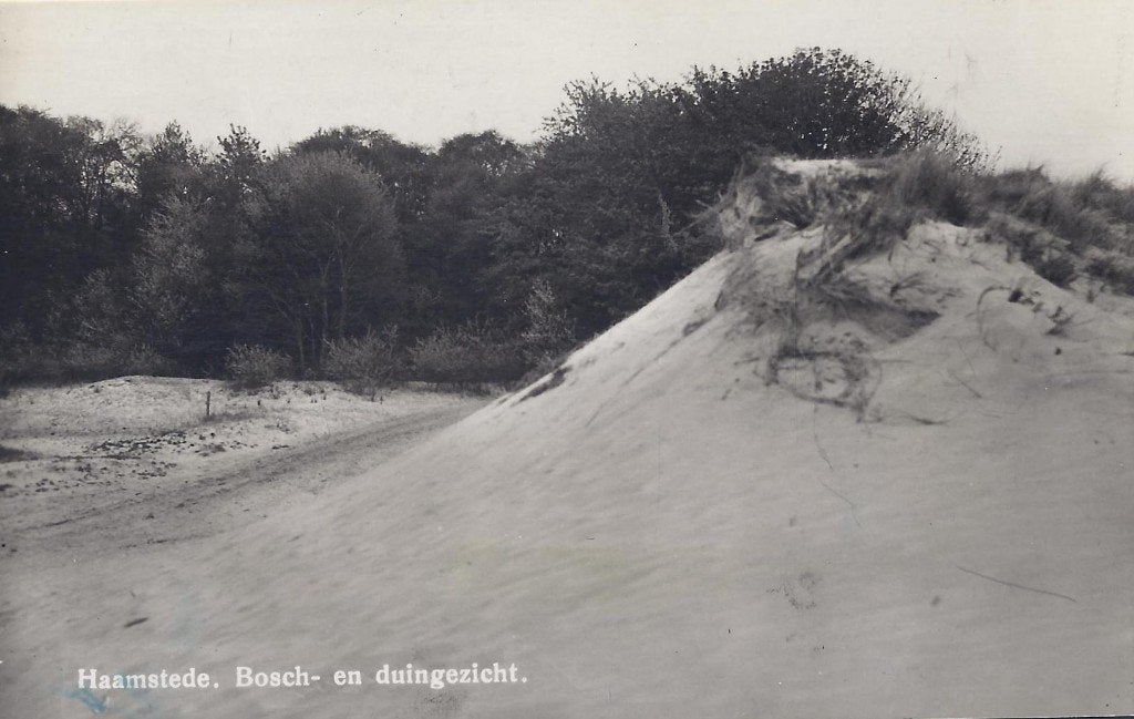 Haamstede Duingezicht Oude Gelopen Ansichtkaart (B1061, Ophalen of Verzenden, Voor 1920, Gelopen