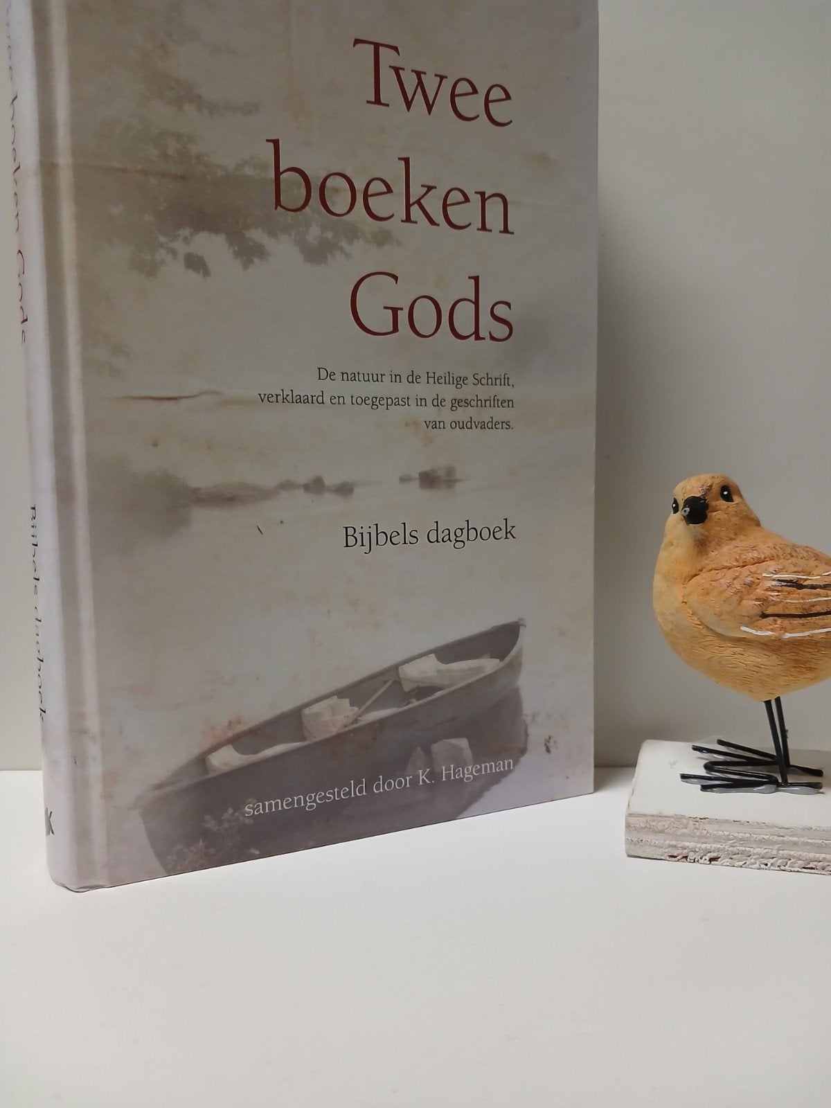 Hageman, K.; Twee boeken Gods (Bijbels dagboek, Boeken, Ophalen of Verzenden, Gelezen, Christendom | Protestants