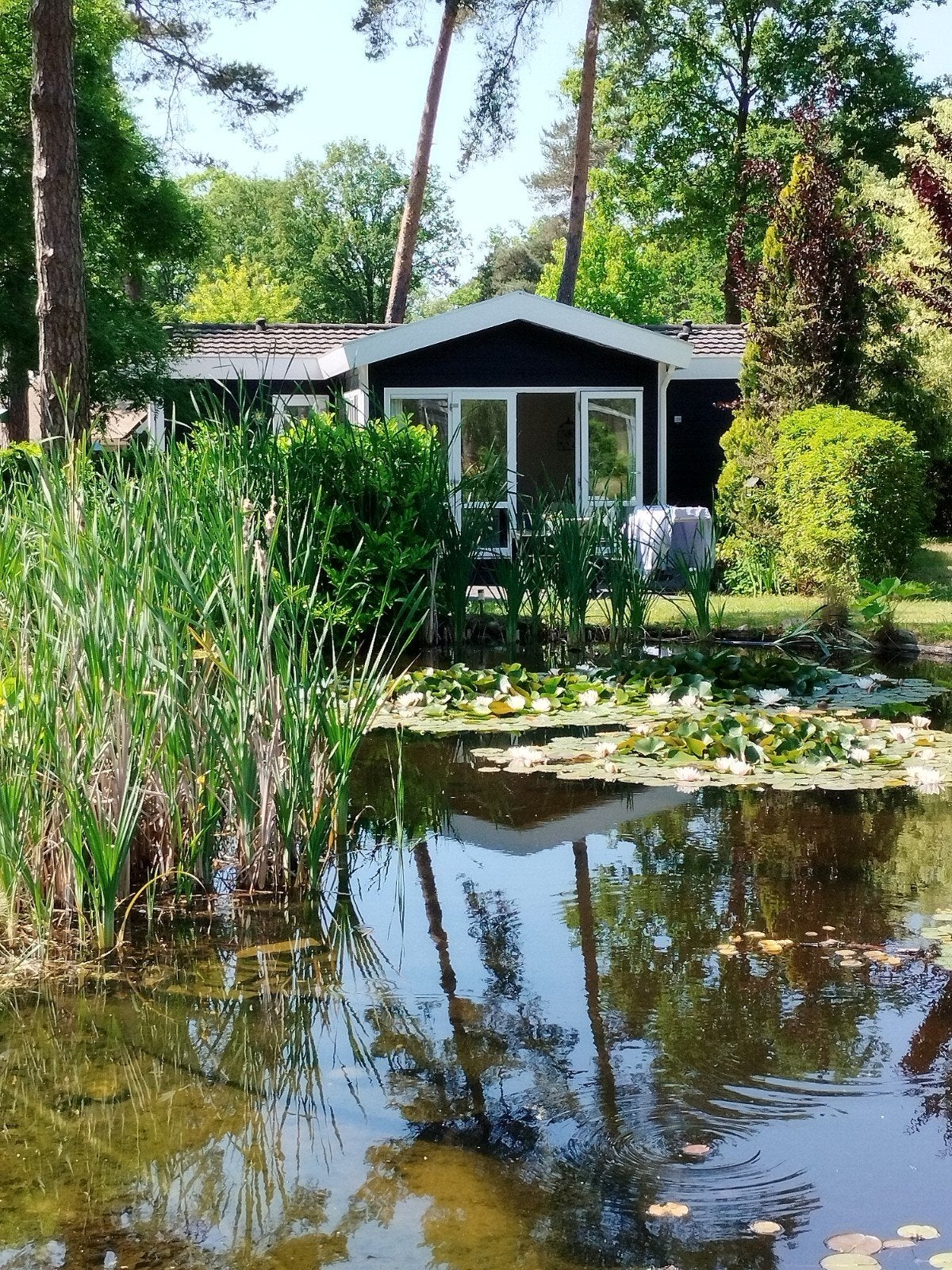 Pracht chalet te huur 6 maanden. Max 2 pers.