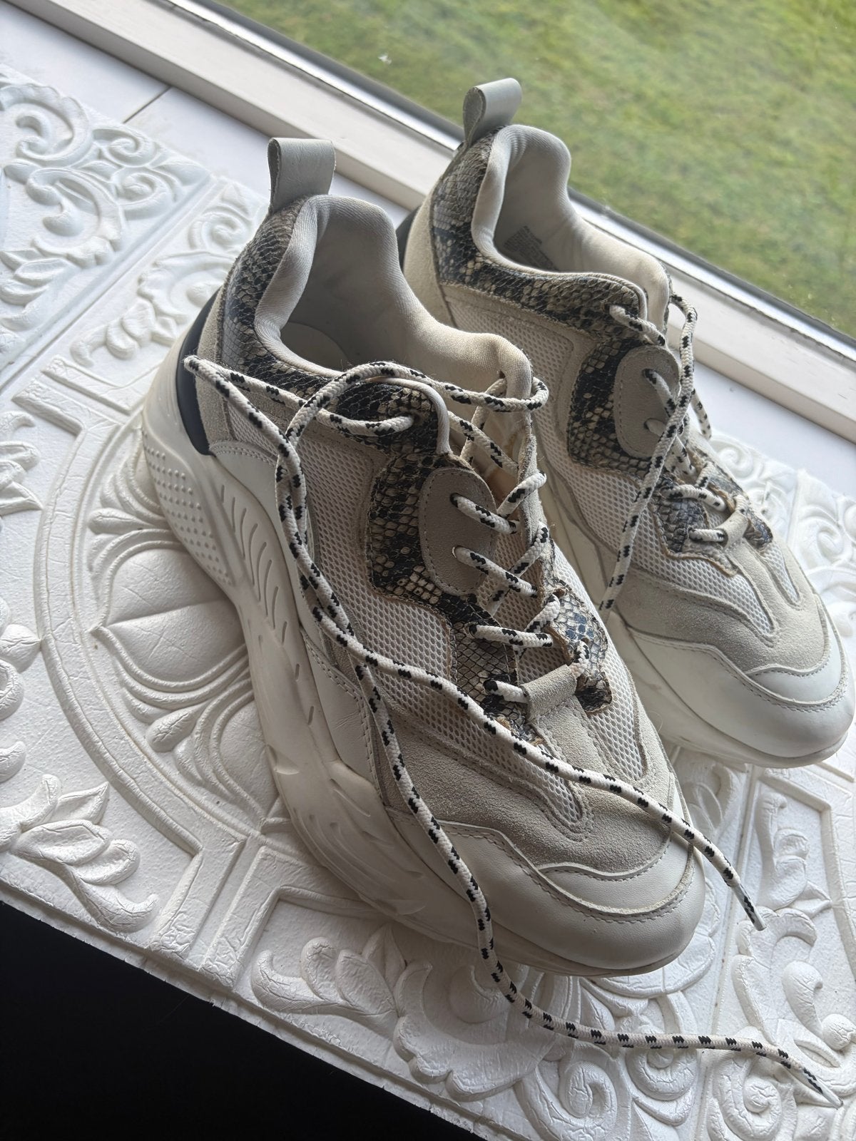 Steve Madden Sneakers met Slangenprint - Maat 39, Kleding | Dames, Ophalen of Verzenden, Gedragen, Overige kleuren, Sneakers of Gympen