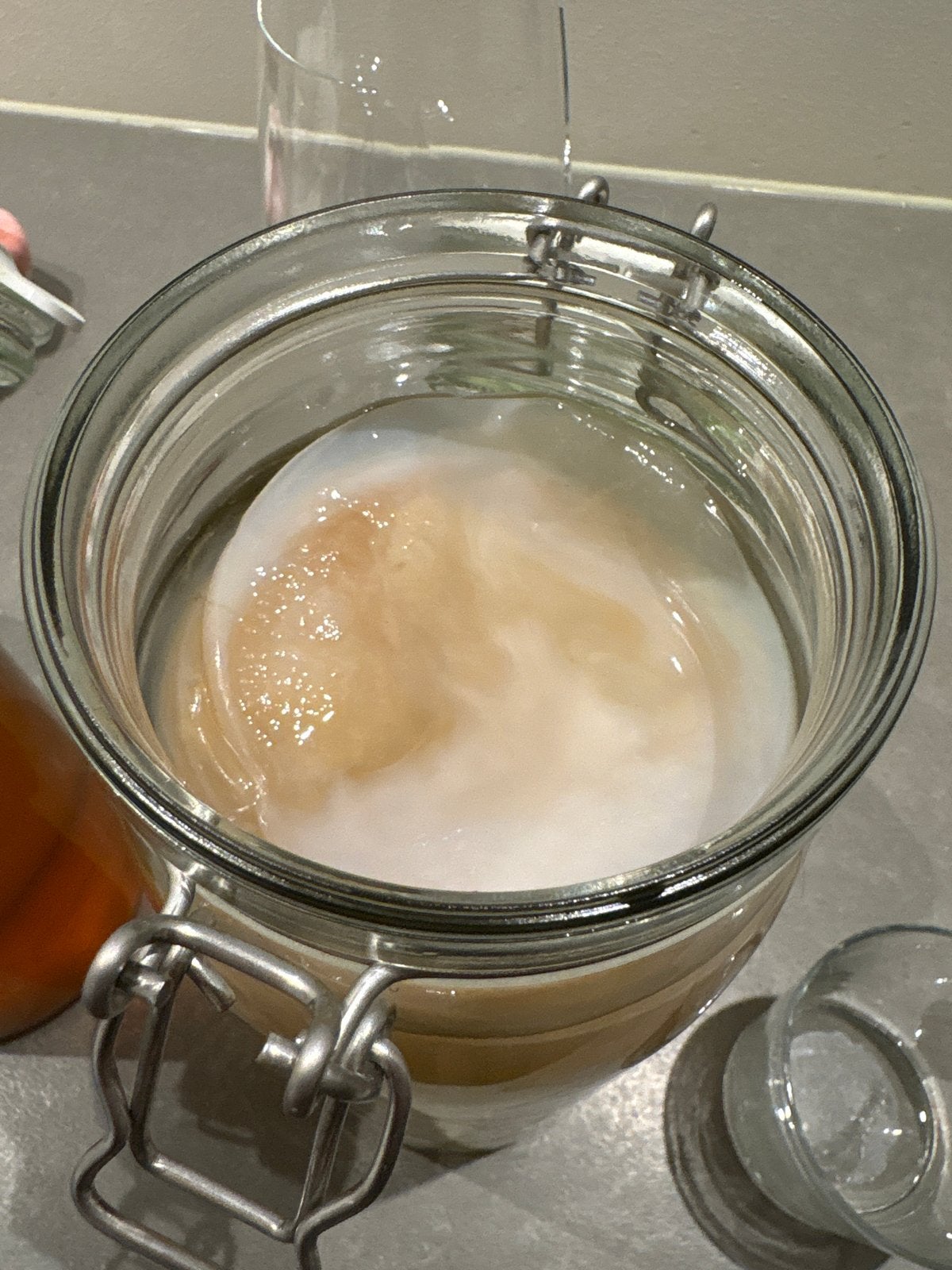 Scoby om Kombucha mee te maken, Ophalen