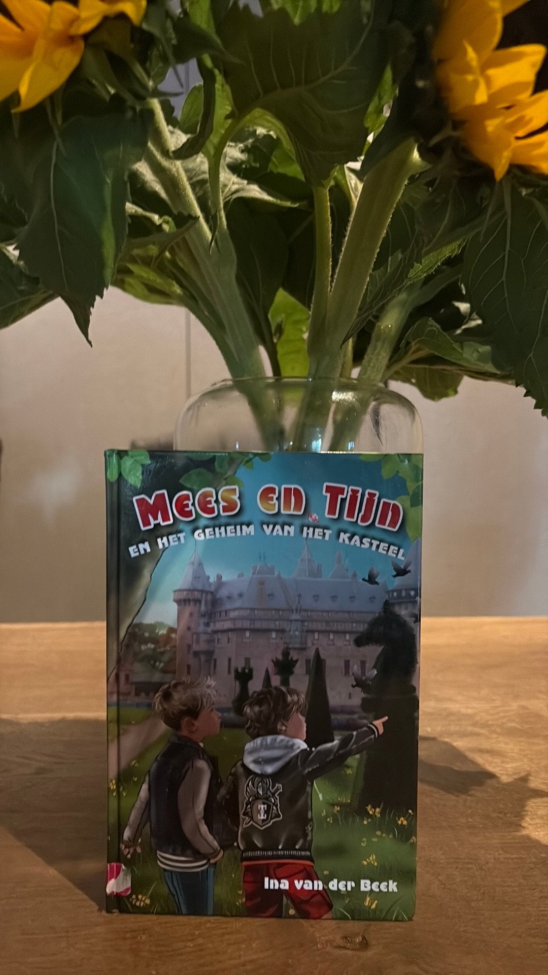 Mees en Tijn en het geheim van het kasteel, Boeken, Ophalen of Verzenden, Zo goed als nieuw, Fictie algemeen