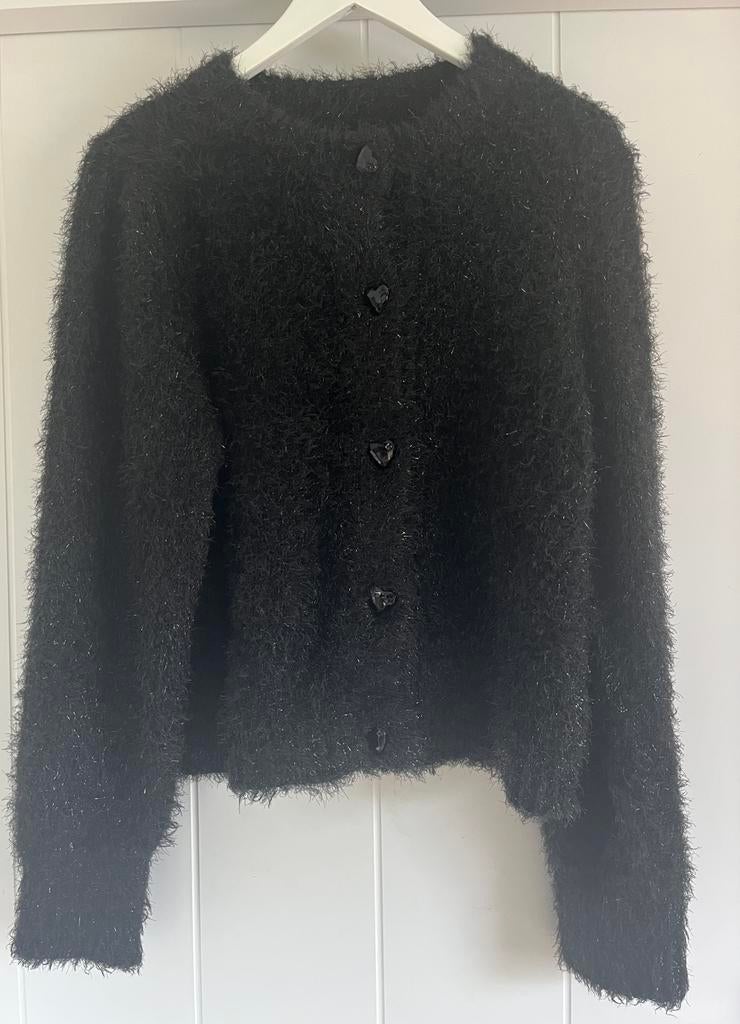 Fabiene Chapot vest (nieuw), Ophalen of Verzenden, Zo goed als nieuw, Zwart