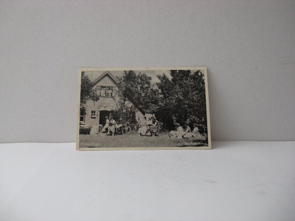 Putten Vacantiehuis De peppelhoeve, Verzamelen, Ansichtkaarten | Nederland, Ophalen of Verzenden, Voor 1920, Gelopen, Noord-Brabant