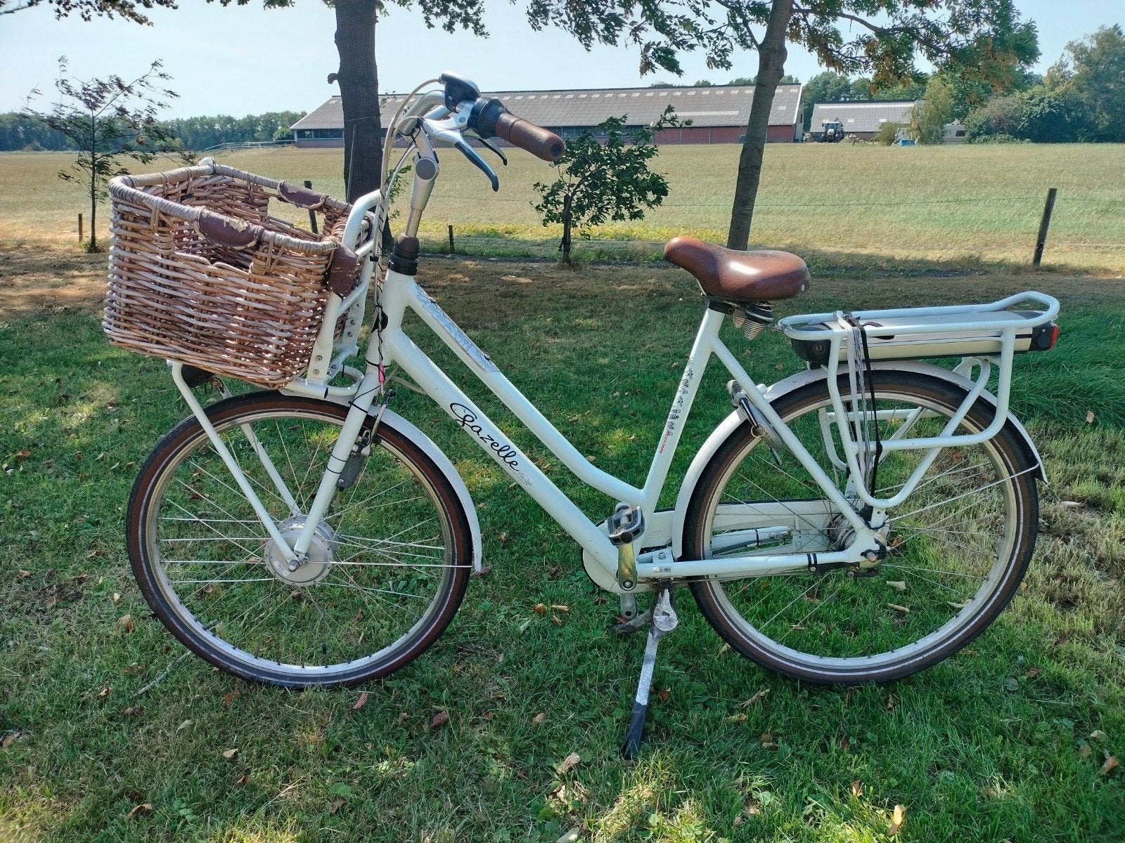 Gazelle Miss Grace, elektrische fiets met mand, Ophalen, Velgrem, Versnellingen, 56 cm of meer