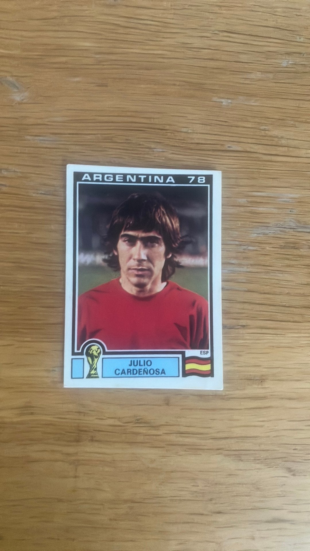 Panini Argentina ‘78, Ophalen of Verzenden, Zo goed als nieuw, Buitenlandse clubs, Poster, Plaatje of Sticker