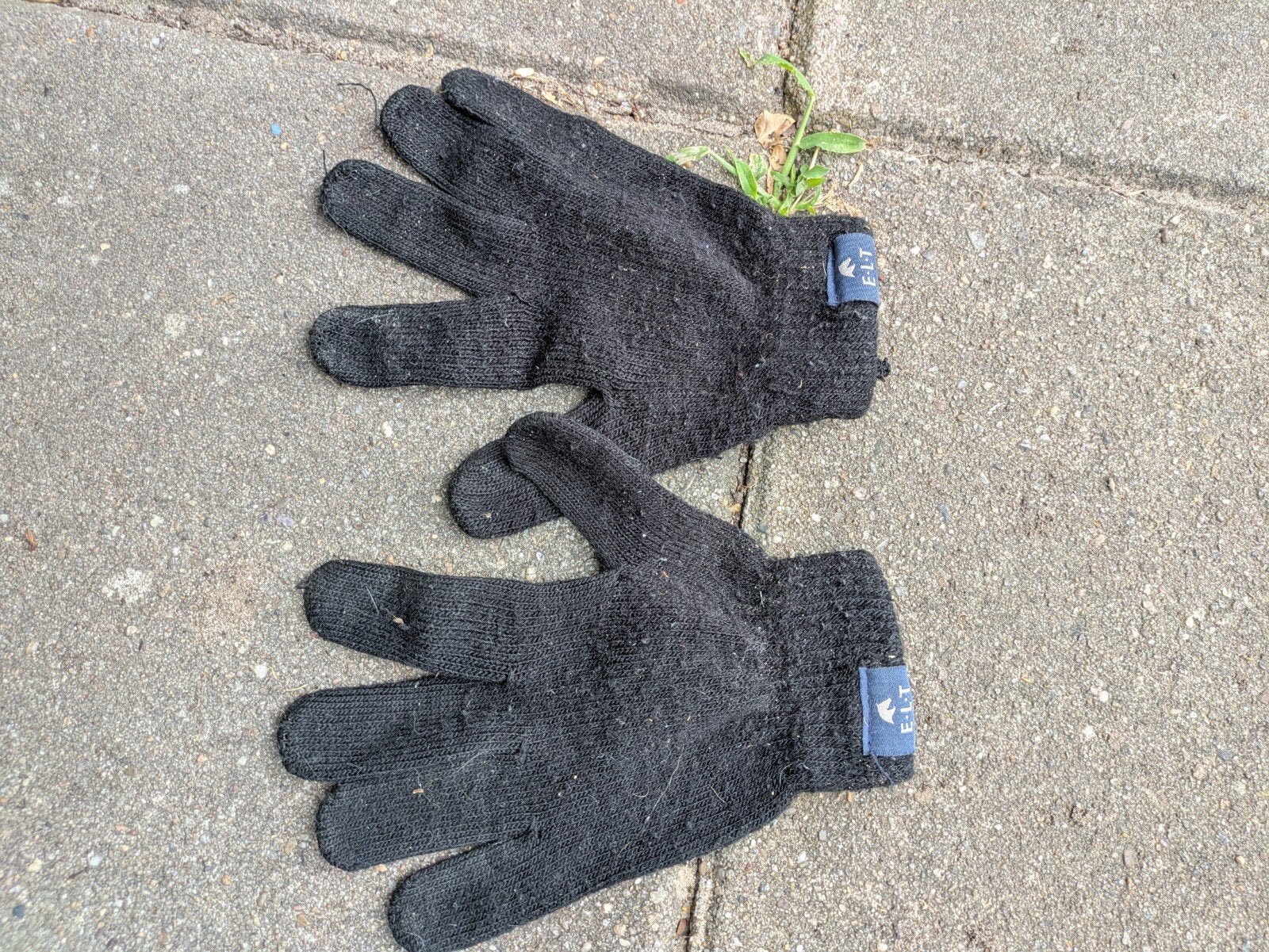 paardrij handschoenen zwart, volwassenen 1 maat, Ophalen of Verzenden, Dressuur, Overige typen