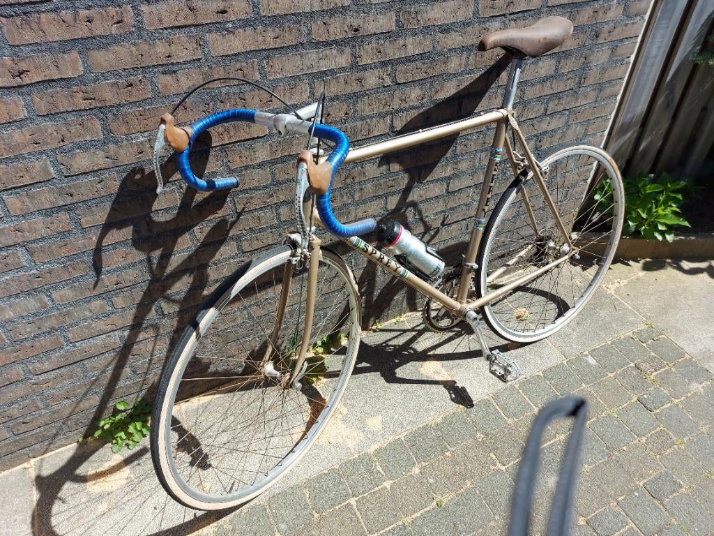 Oldtimer racefiets, Gebruikt, 26 inch, 10 tot 15 versnellingen, Velgrem