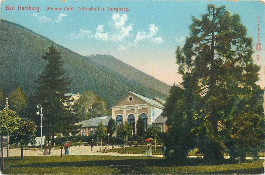 701-398-007 Bad Harzburg Wiener Cafe, Ophalen of Verzenden, Voor 1920, Duitsland