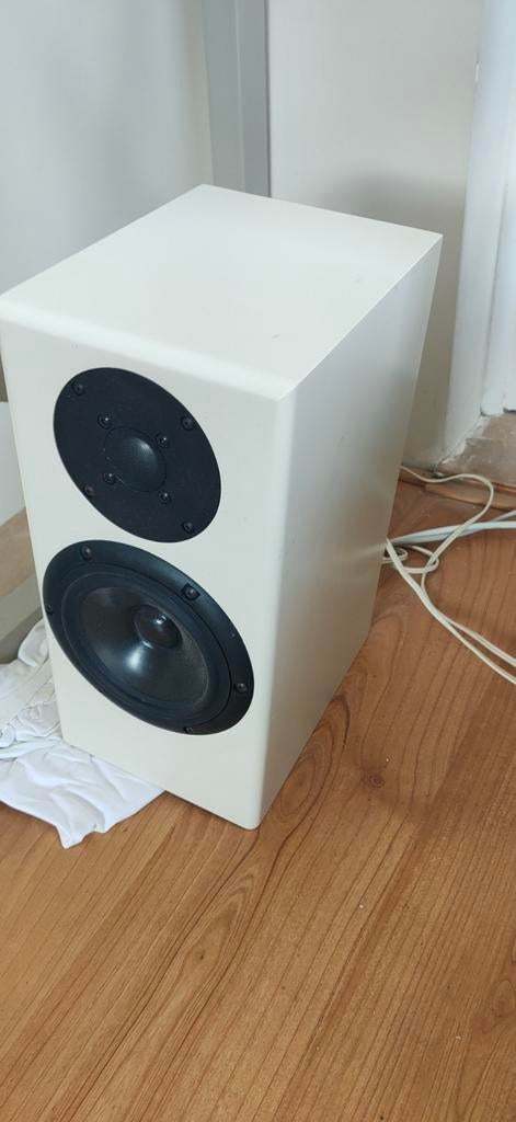 Totem rainmaker wit, Gebruikt, 60 tot 120 watt, Front, Rear of Stereo speakers, Ophalen