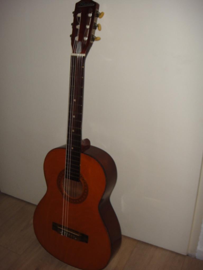 Gitaar Riviera, Muziek en Instrumenten, Ophalen, Gebruikt, Solid body, Overige merken