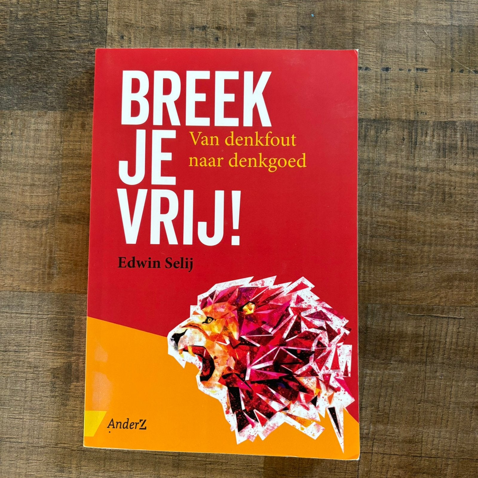 Edwin Selij - Breek je vrij!, Ophalen of Verzenden, Zo goed als nieuw, Edwin Selij