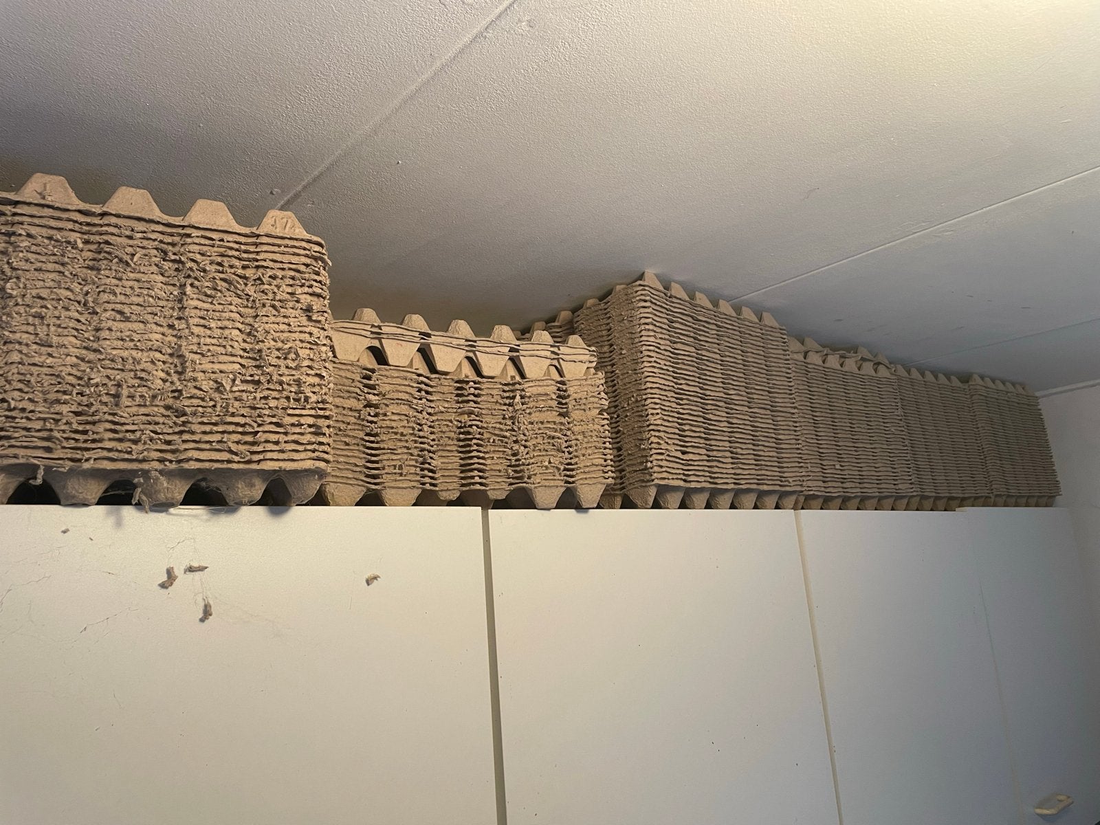Eier tray voor 30 eieren, Ophalen of Verzenden