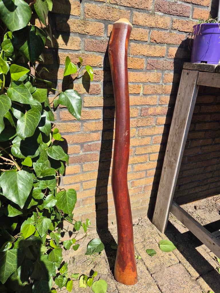 Didgeridoo eucalyptus (redwood), Muziek en Instrumenten, Blaasinstrumenten | Didgeridoos, Ophalen, Zo goed als nieuw