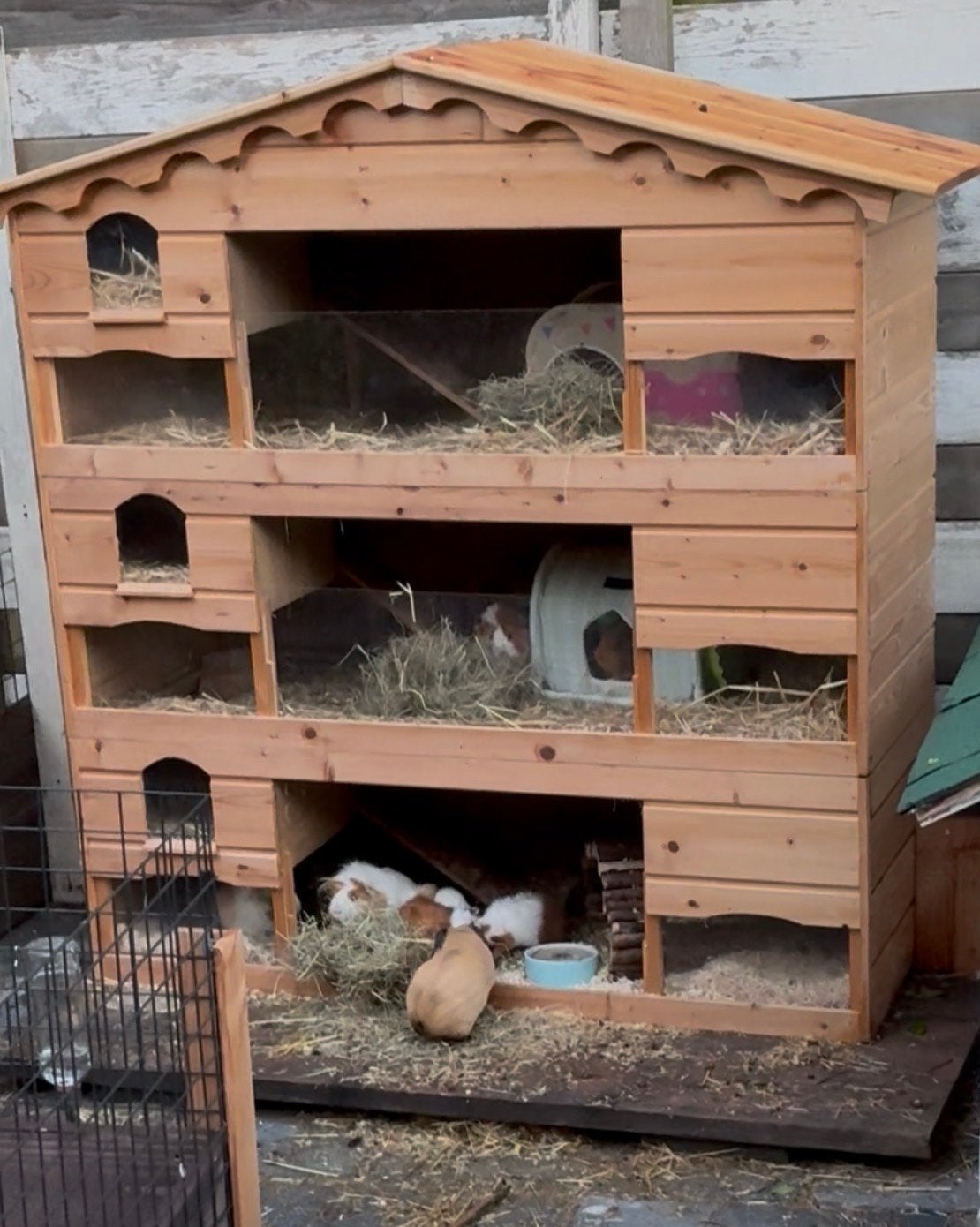 Kmaagdierenflat - hok, Dieren en Toebehoren, Knaagdieren en Konijnen | Hokken en Kooien, Ophalen, 90 cm of meer, Konijn, Hok