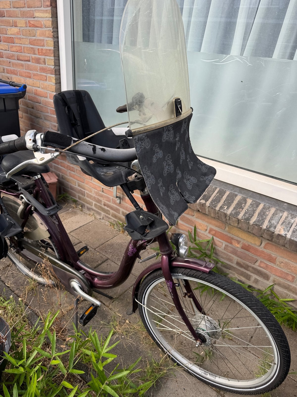 Damesfiets met kinderzitjes en fietstassen, Fietsen en Brommers, Fietsen | Dames | Damesfietsen, Overige merken, Velgrem, Ophalen of Verzenden