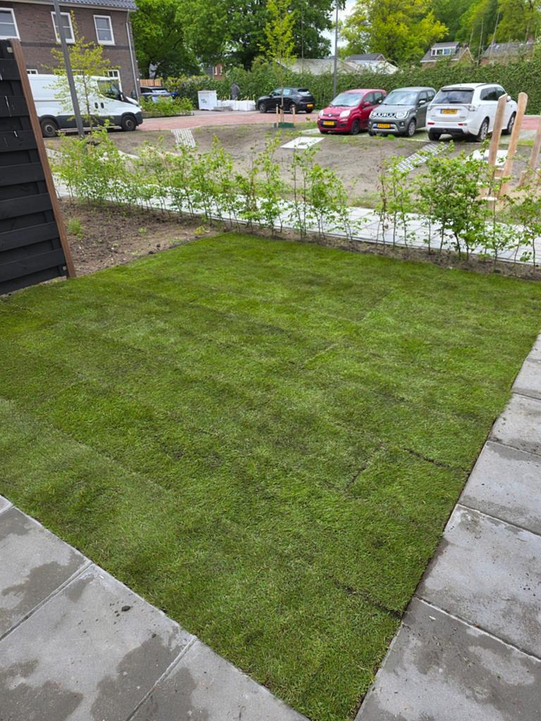 Voor al u gras aanleg scherpe aanbieding, Info@groenenzo.nl, Nieuw, Groenstraat 10, 1234 AB Groenstad, Ophalen of Verzenden