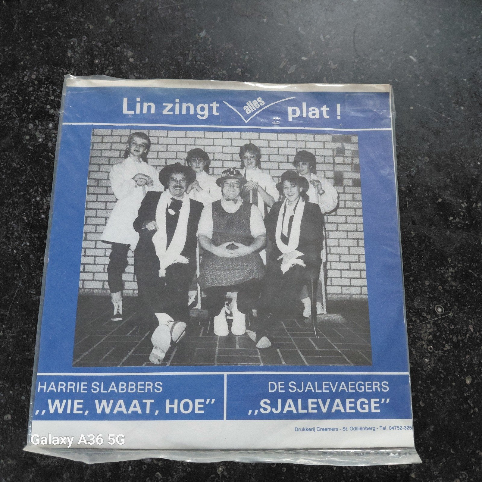Lin zingt alles plat! - Harrie Slabbers / De Sjalevaegers, Cd's en Dvd's, Ophalen of Verzenden, Gebruikt, Schlager
