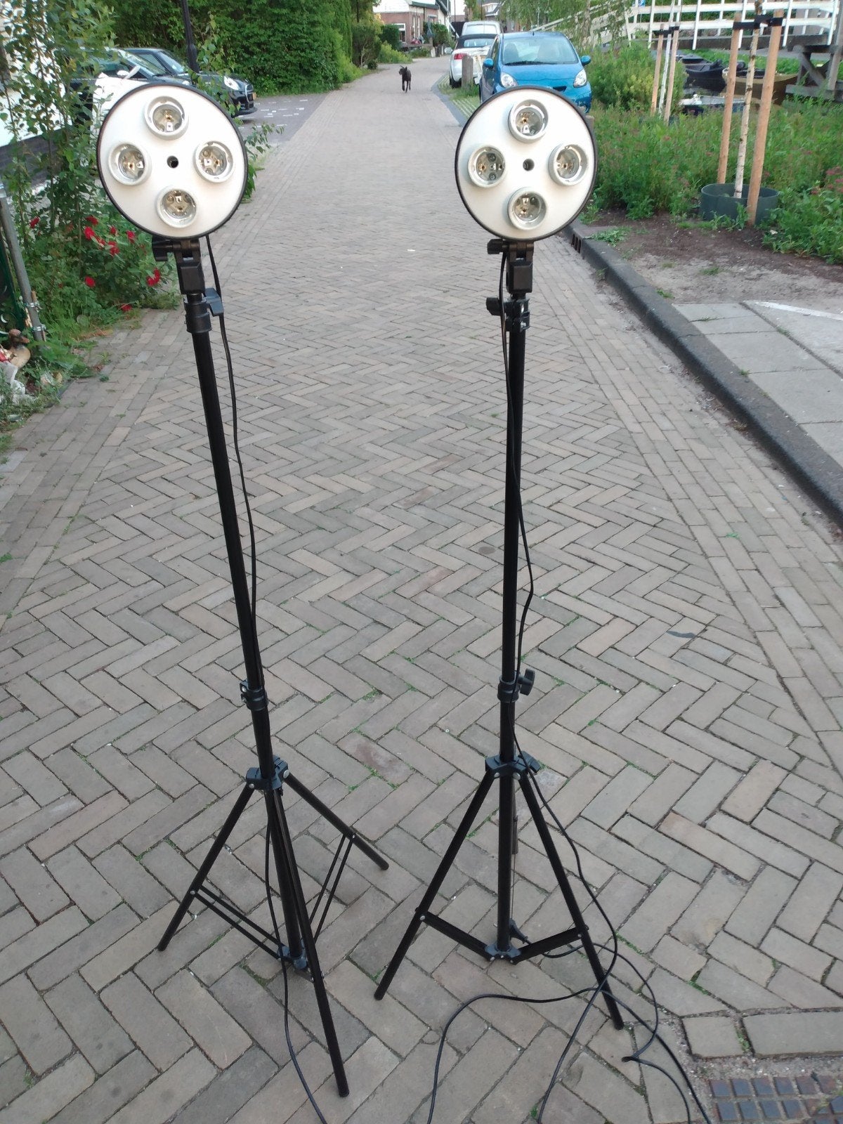 Set van 2 Fotostudio Lampen met Statieven, Audio, Tv en Foto, Fotografie | Fotostudio en Toebehoren, Ophalen of Verzenden, Gebruikt