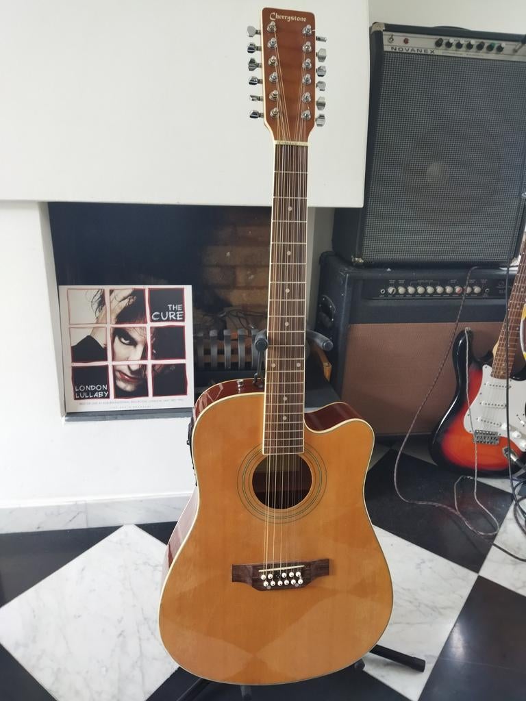 12 snarige gitaar, Ophalen of Verzenden, Western- of Steelstringgitaar