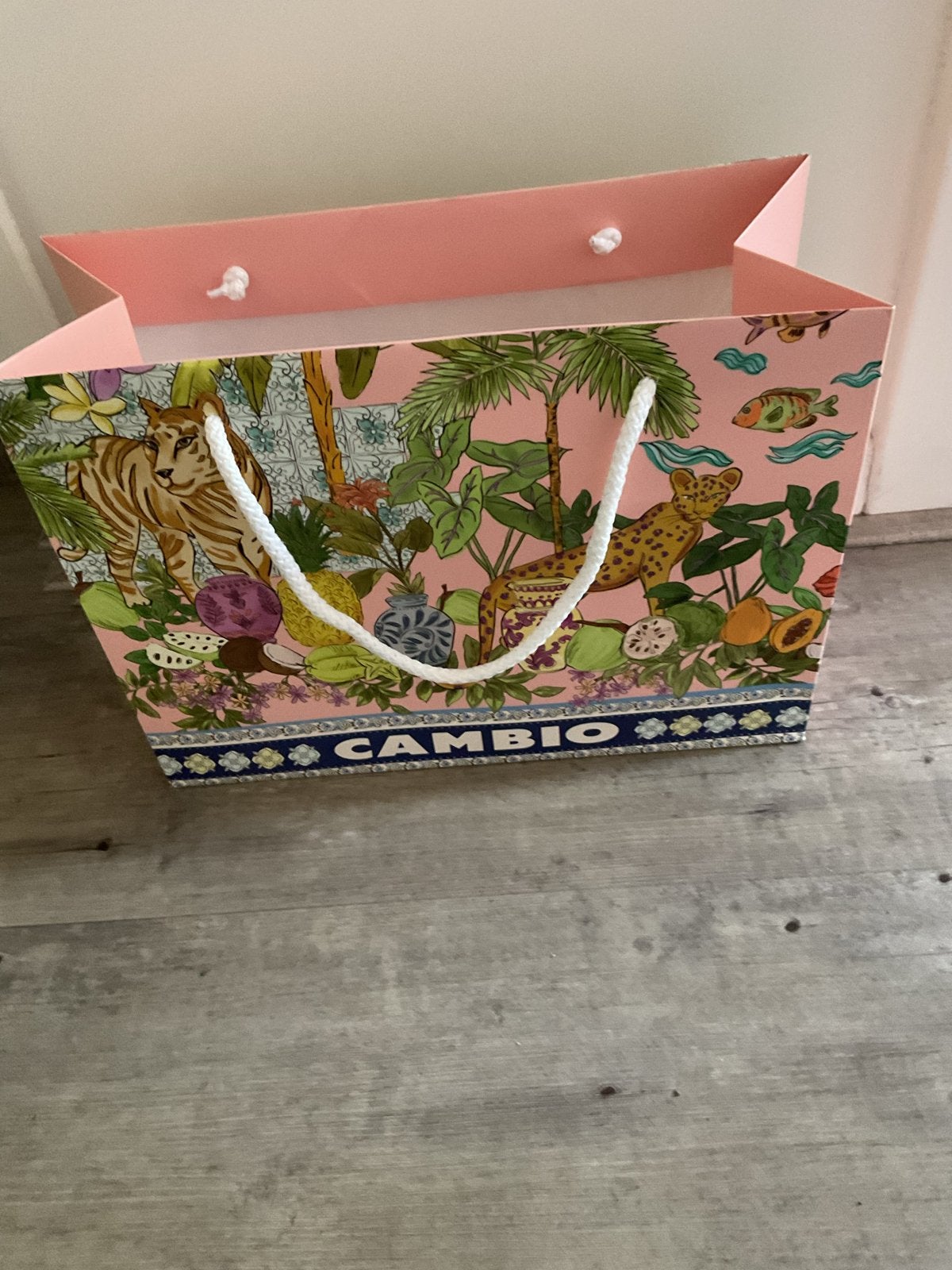 Leuke nieuwe kartonnen tas van Cambio, Ophalen of Verzenden, Nieuw