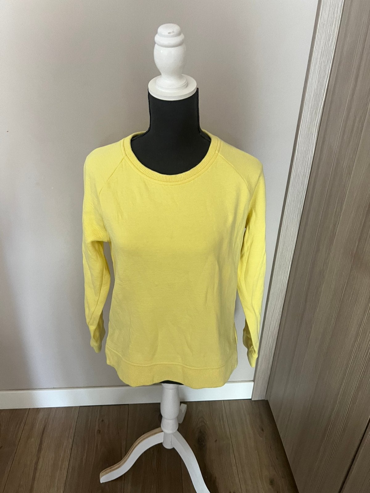 Nieuwe sweater van Expresso maat M, Ophalen of Verzenden, Nieuw, Maat 38/40 (M), Geel