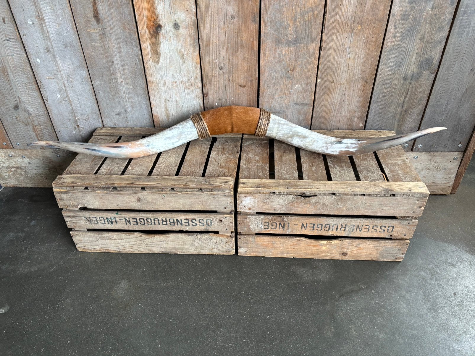 Mooie stoere Bullbar! (8), Ophalen, Nieuw, Overige soorten, Overige typen