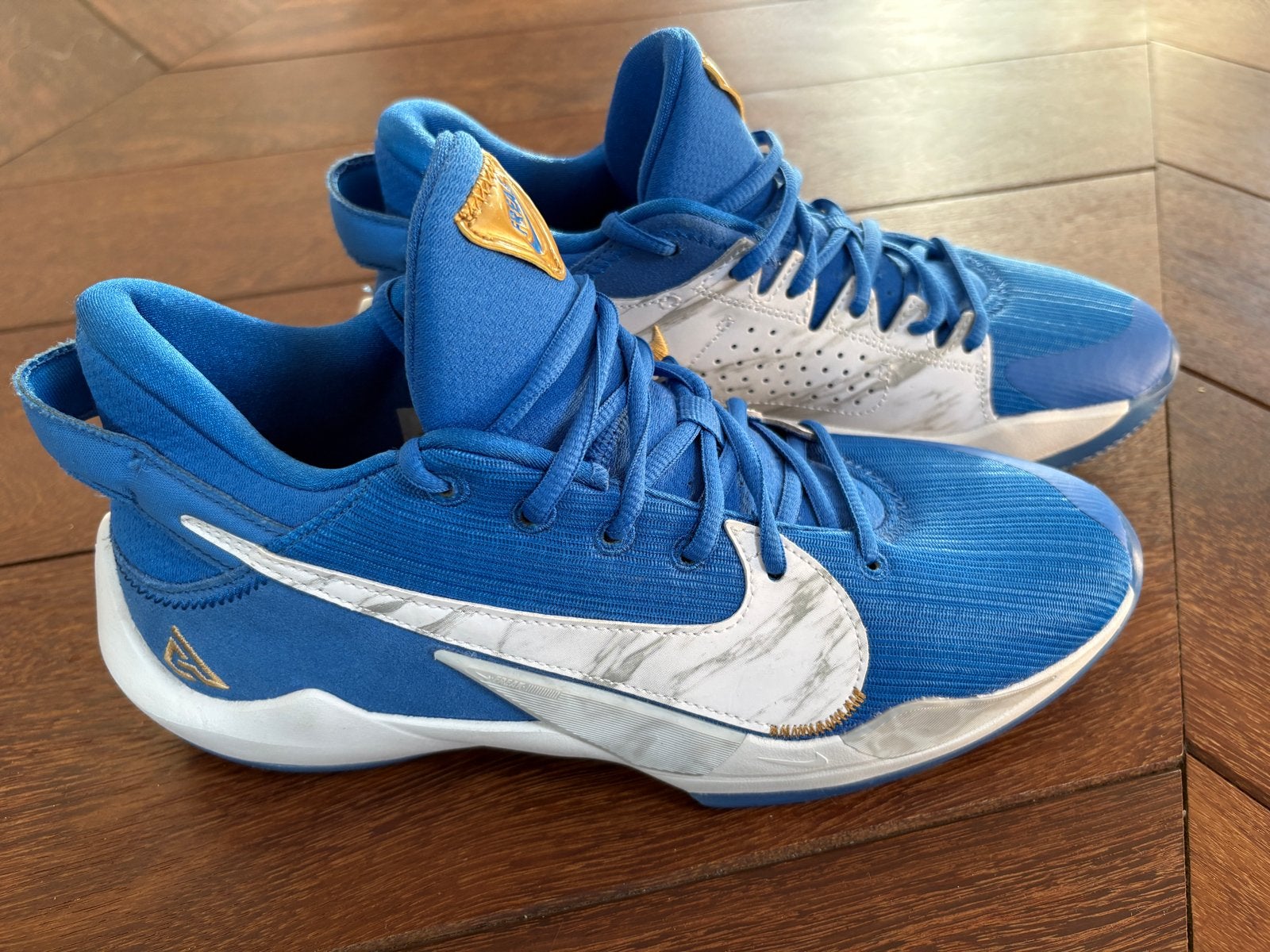 Nike Zoom Freak 2 SE GS Signal Blue Giannis NIEUW! Maat 40, Ophalen of Verzenden, Nieuw, Blauw, Sneakers of Gympen