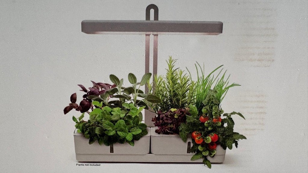 NIEUW: LED Kruiden Kweek Kit Binnen | Indoor Herb Garden Kit, Ophalen of Verzenden, Nieuw, Kweekbak