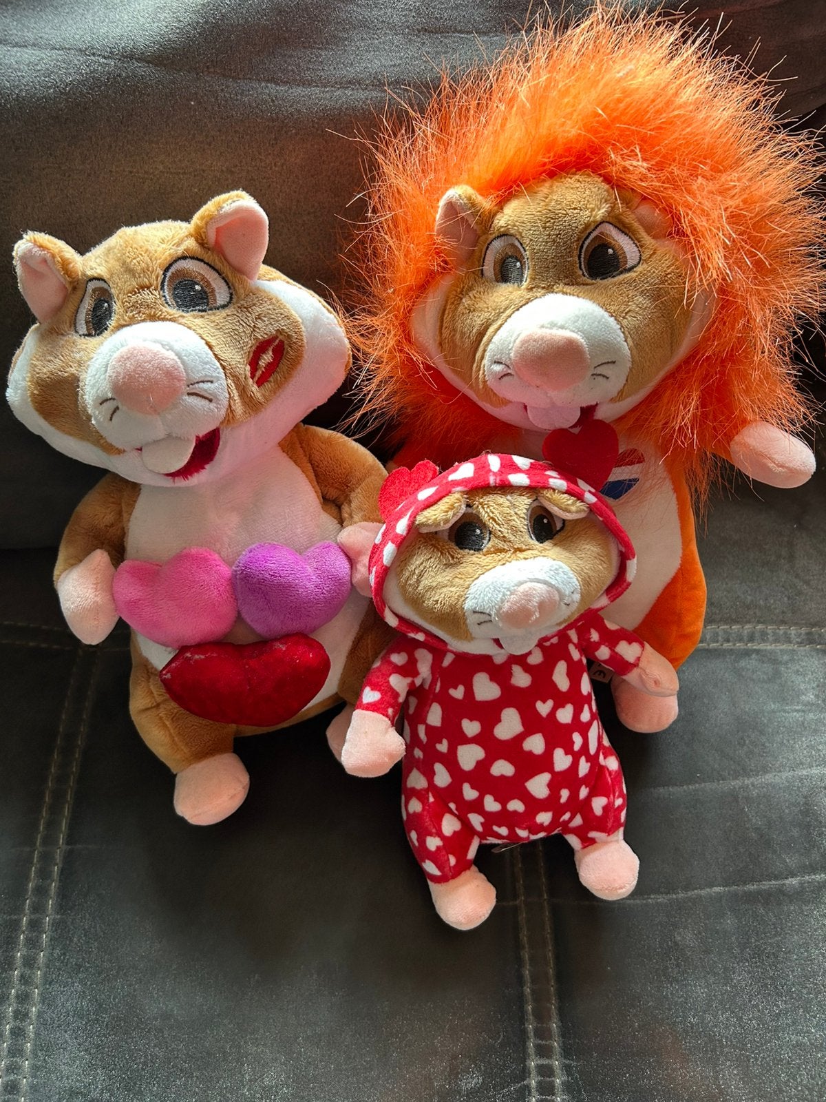 12 normale formaat hamsters, Ophalen of Verzenden, Gebruikt, Overige typen