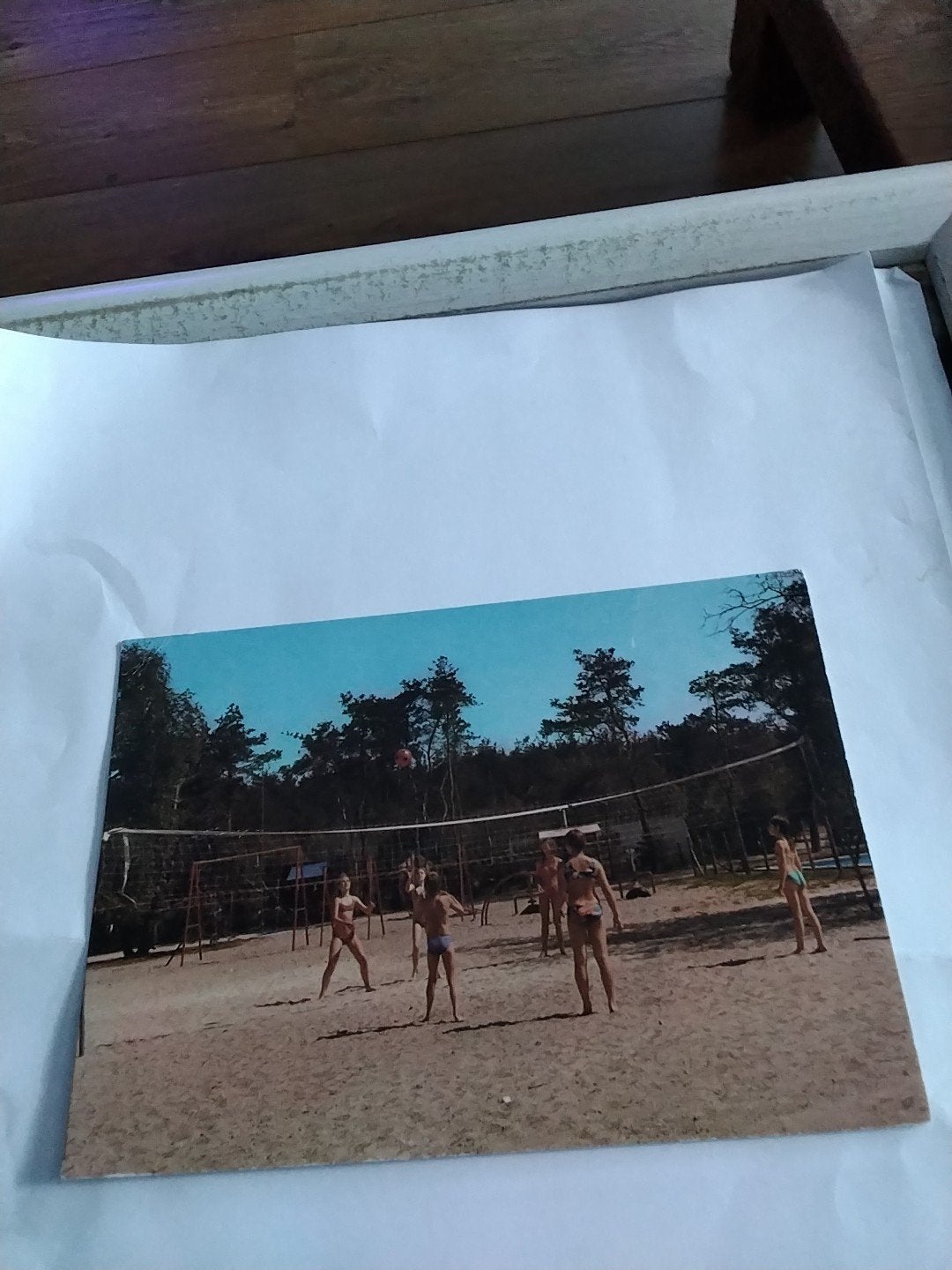 Ansichtkaart Camping De Scheepsbel Koedijk 1985, Ophalen of Verzenden, 1980 tot heden, Gelopen, Noord-Holland