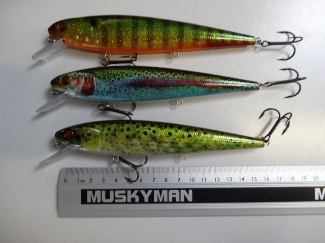 Kunstaas: Daiwa Prorex Minnow 160 Shallowrunner pluggen, Watersport en Boten, Hengelsport | Roofvissen, Verzenden, Gebruikt, Overige typen