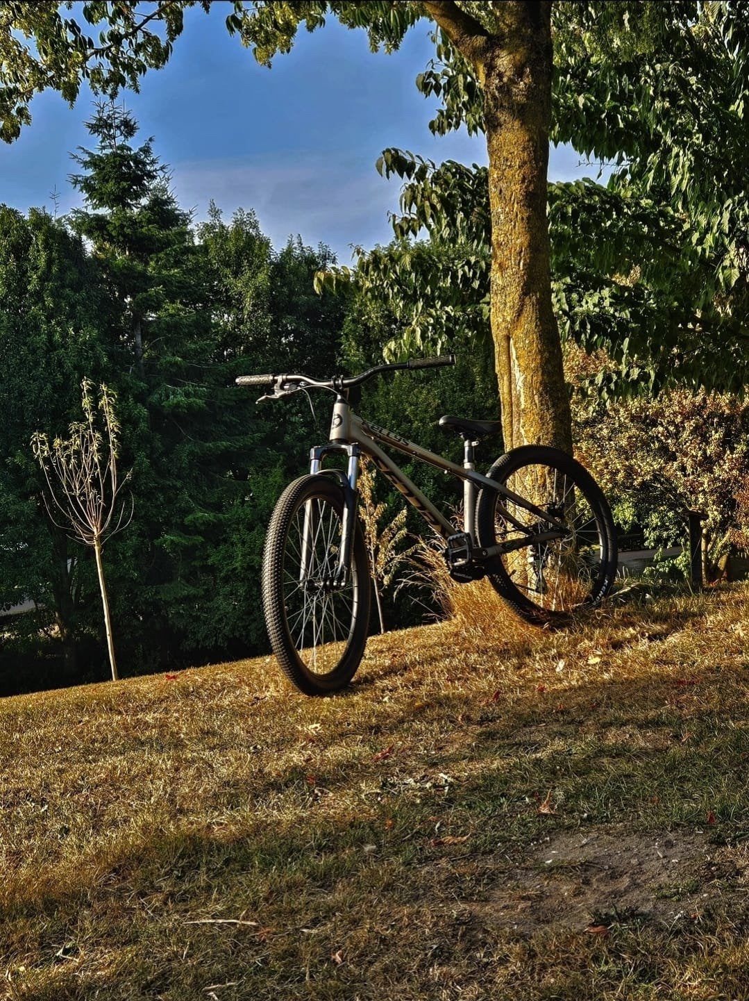 Kellys whip 10 dirt jumper, Minder dan 10 versnellingen, Gebruikt, 26 inch, Schijfrem