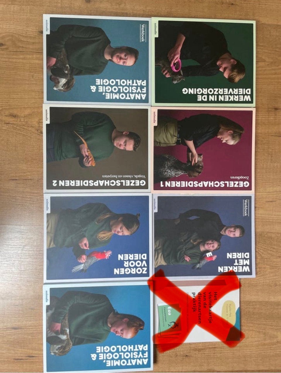 Studieboeken MBO dierenartsassistent paraveterinair, Ophalen of Verzenden, Beta, Zo goed als nieuw, MBO