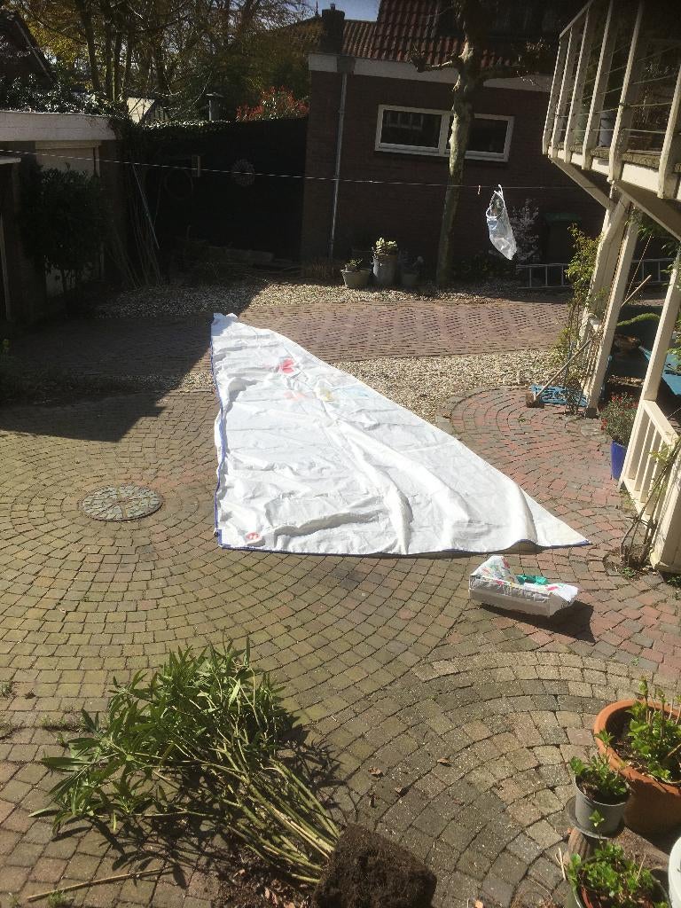 Yngling zeil, Watersport en Boten, Zeilen en Zeiltoebehoren, 6 meter of meer, Gebruikt, Ophalen of Verzenden, Minder dan 15 m²