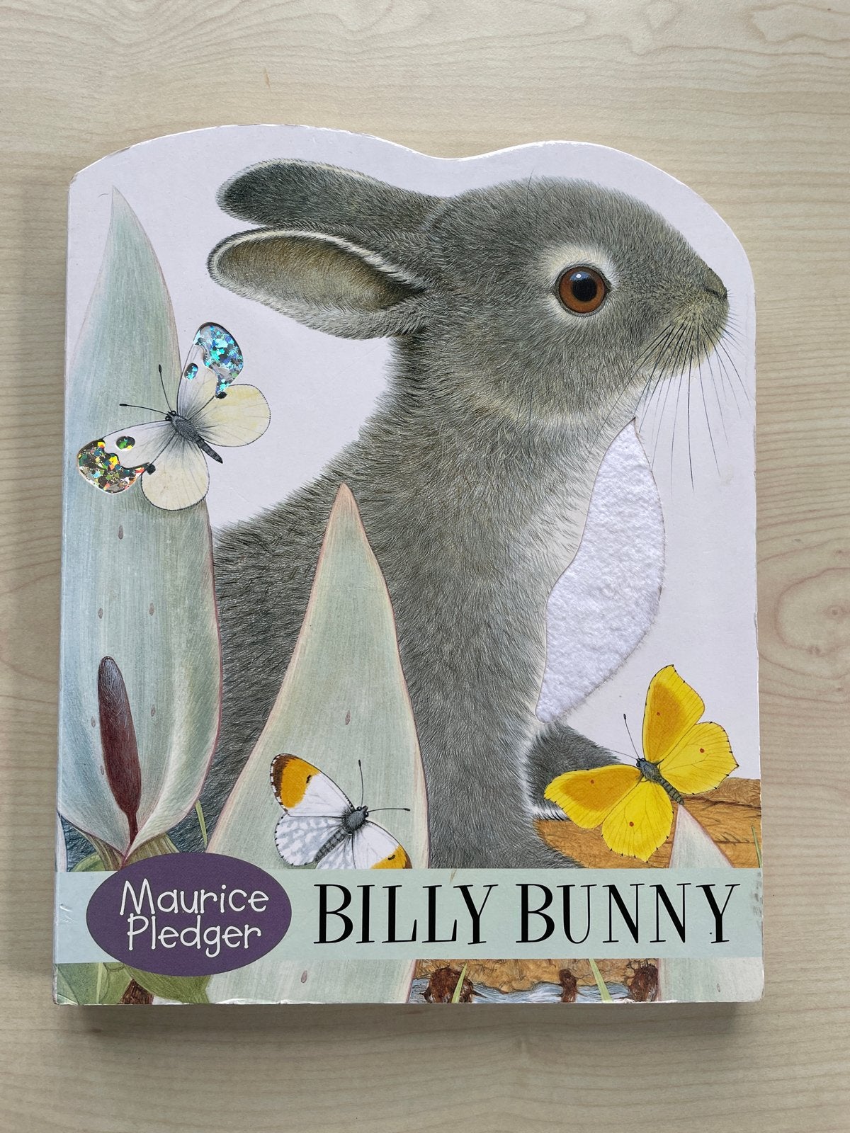 Billy Bunny Voelboekje Maurice Pledger, Ophalen, Zo goed als nieuw, Uitklap-, Voel- of Ontdekboek, 0 tot 6 maanden