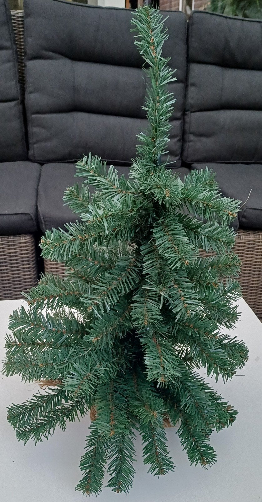 3 kerstboompjes voor 7,50, Ophalen