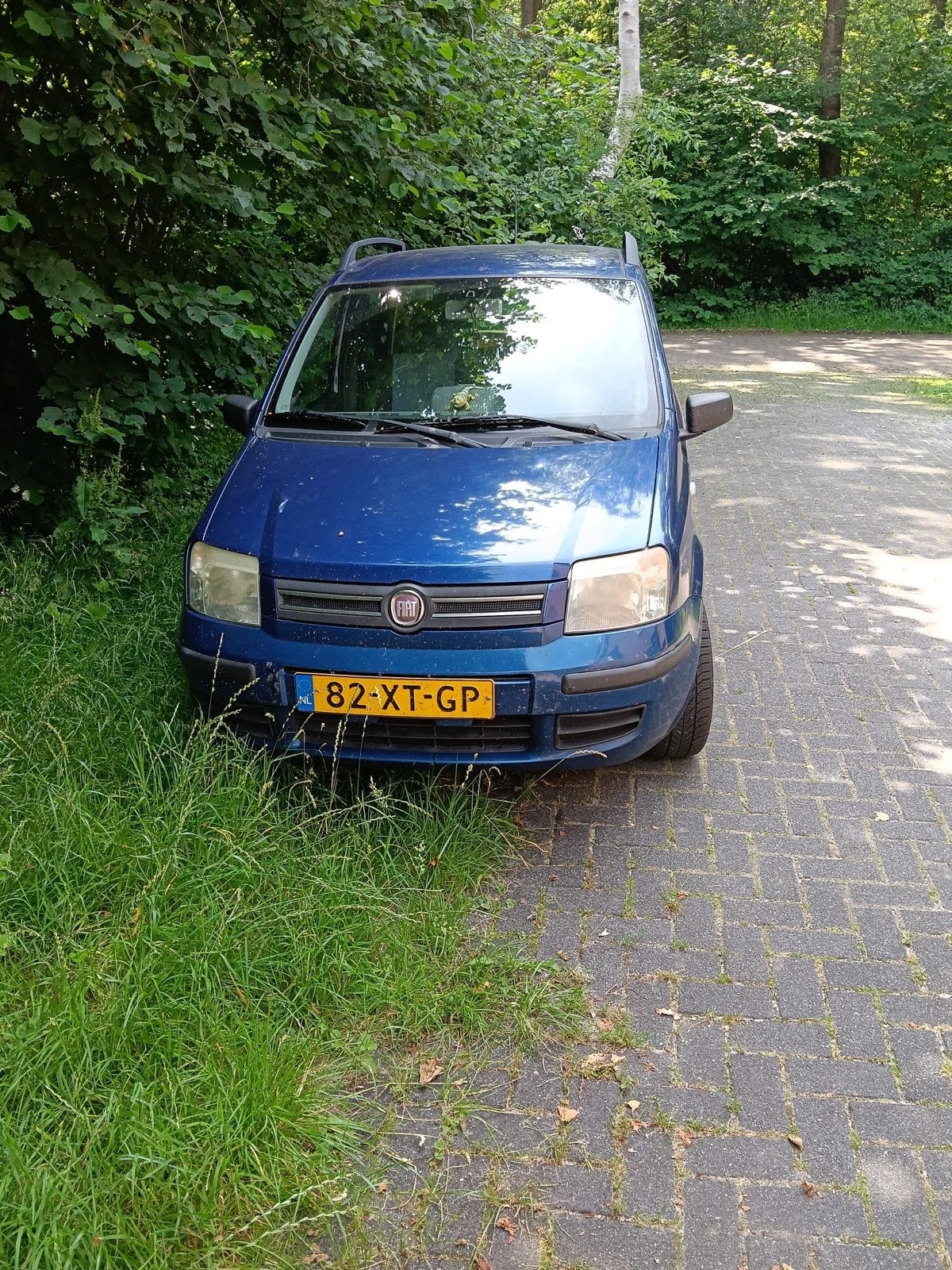 Fiat Panda 1.2 44KW 60PK 2007 Blauw, Auto's, Fiat, Voorwielaandrijving, Stof, Origineel Nederlands, Bedrijf