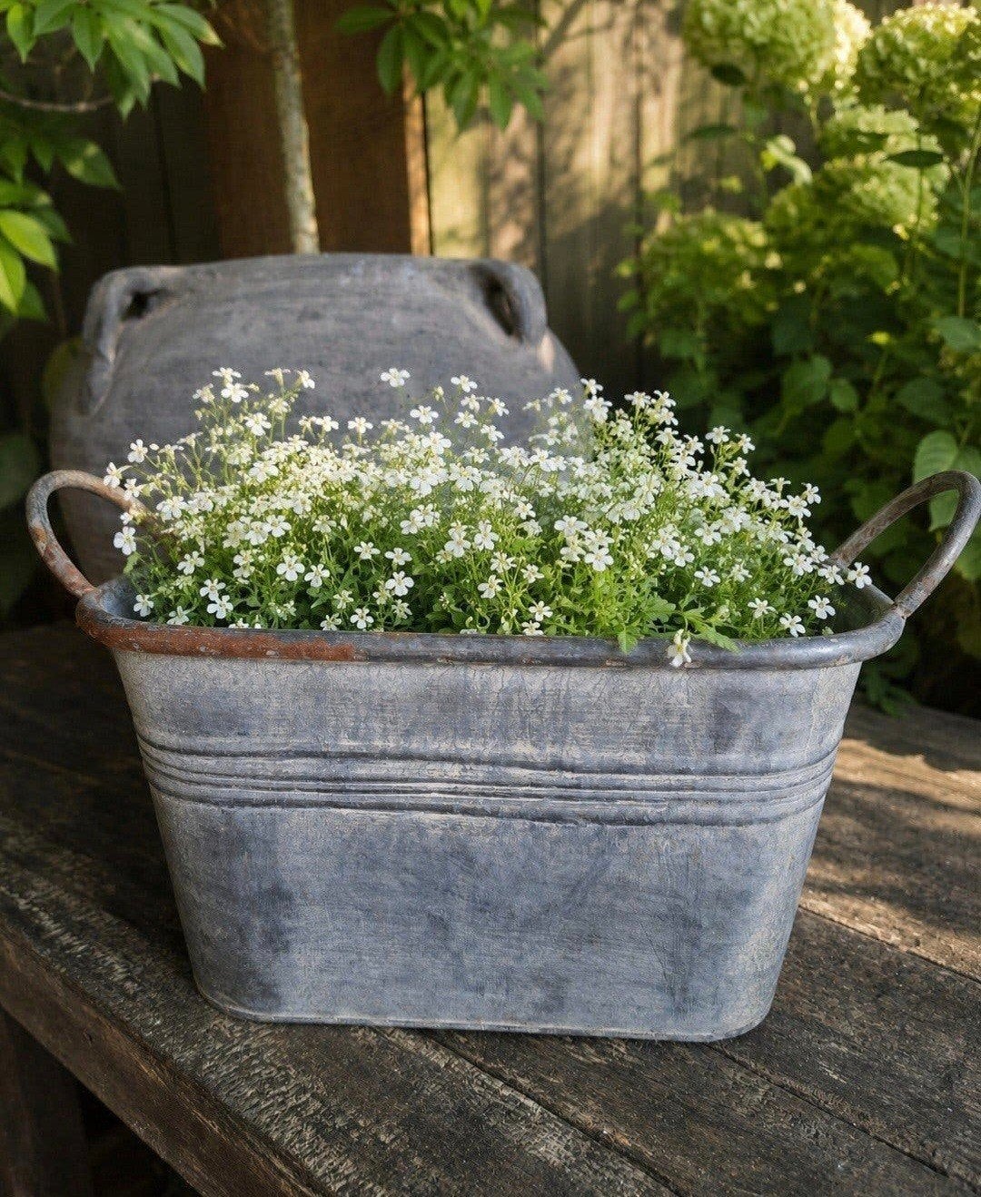mooie rechthoekige zinken bak, Ophalen of Verzenden, Metaal, Tuin, Minder dan 30 cm