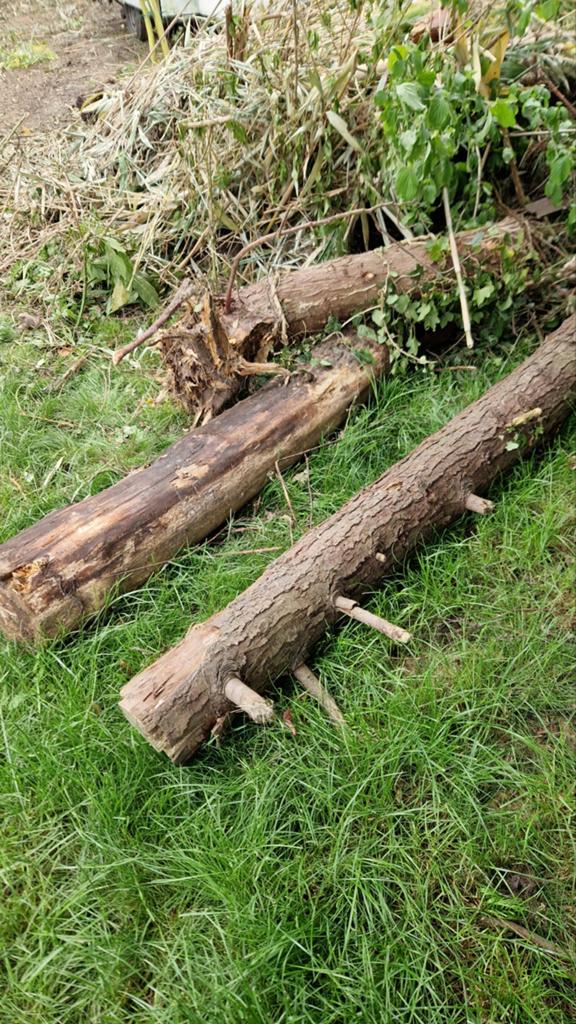 (Brand)hout GRATIS, Minder dan 3 m³, Ophalen of Verzenden