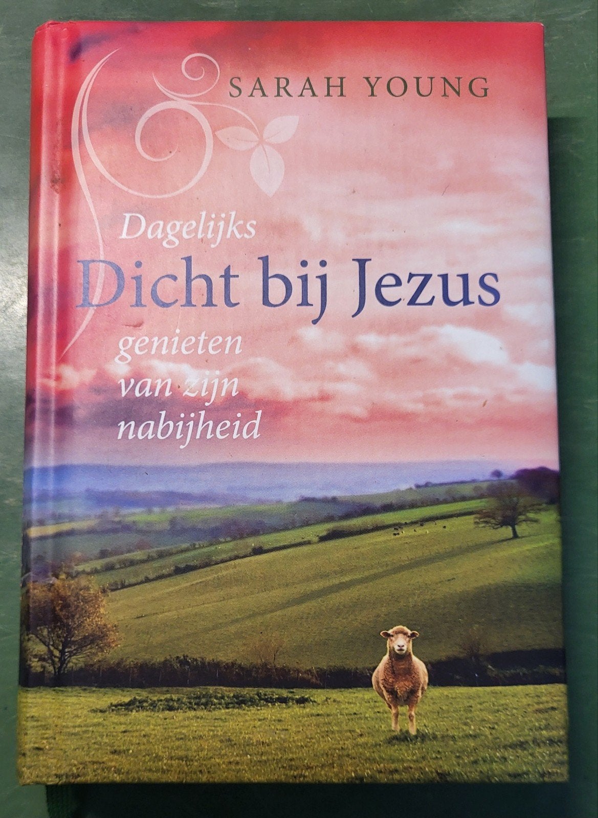 Dicht bij Jezus - Sarah Young, Boeken, Gelezen, Spiritualiteit algemeen, Ophalen of Verzenden, Achtergrond en Informatie