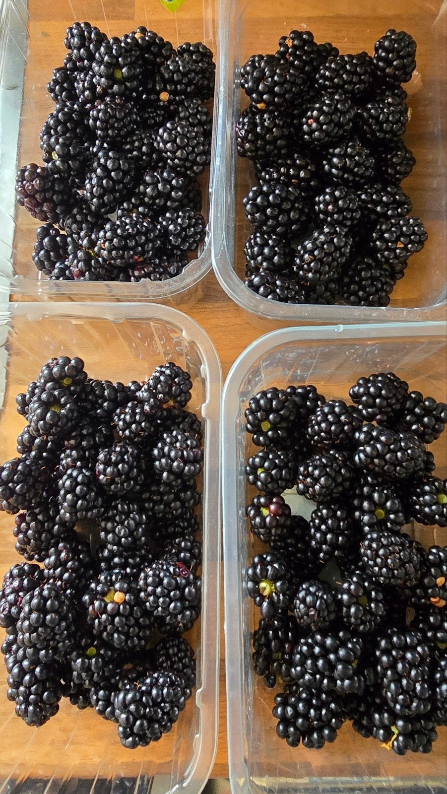 Verse bramen uit eigen tuin - 250 gram, Tuin en Terras, Ophalen