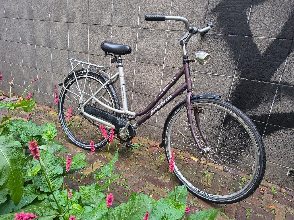Batavus damesfiets met terugtraprem, Ophalen, Terugtraprem, Batavus, 53 tot 56 cm