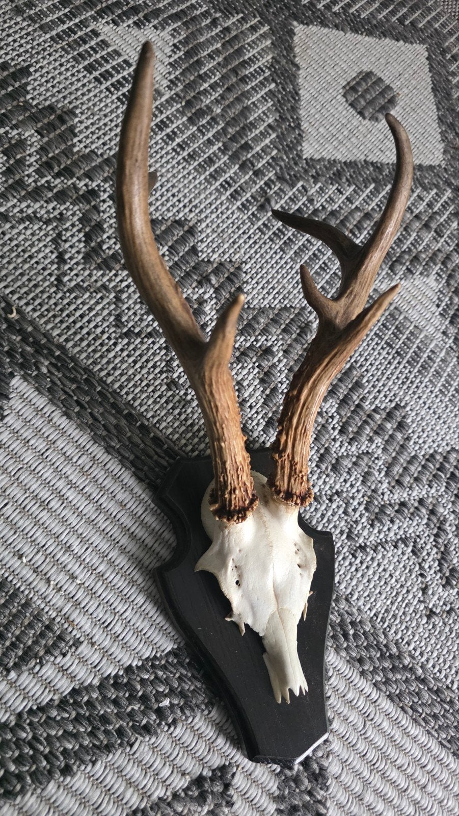 gewei, Gebruikt, Ophalen of Verzenden, Bruin, Vintage