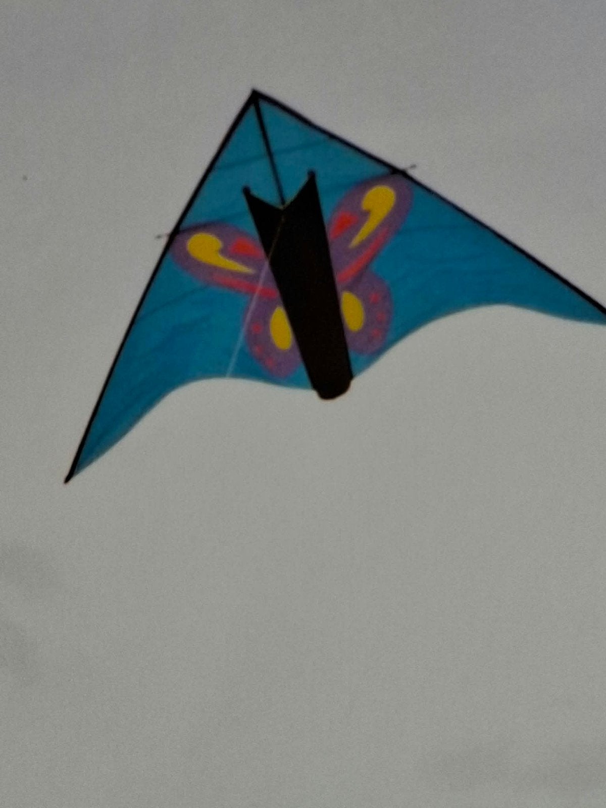 Grote blauwe vlieger met vlinderdesign, Ophalen of Verzenden, Gebruikt, Eenlijns, Vlieger