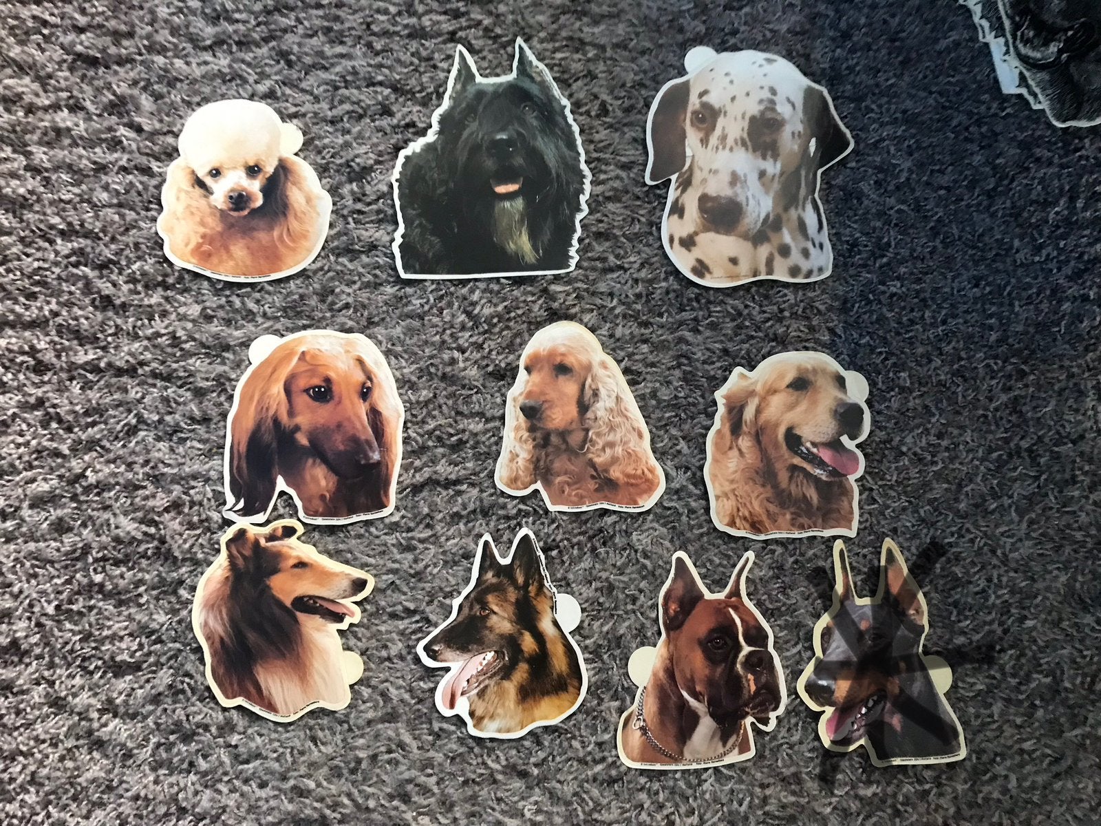 Stickers honden, Ophalen of Verzenden, Zo goed als nieuw