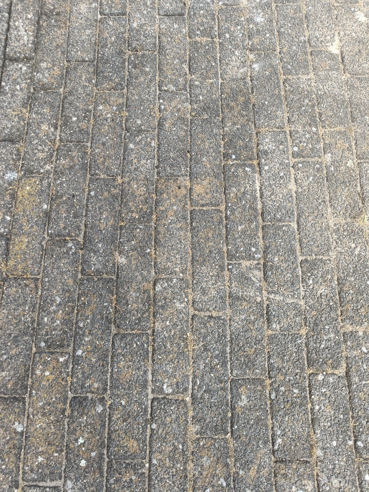 Betonklinkers met uitgewassen deklaag ongeveer 3m2 GRATIS, Tuin en Terras, Ophalen, Gebruikt, Beton, Klinkers