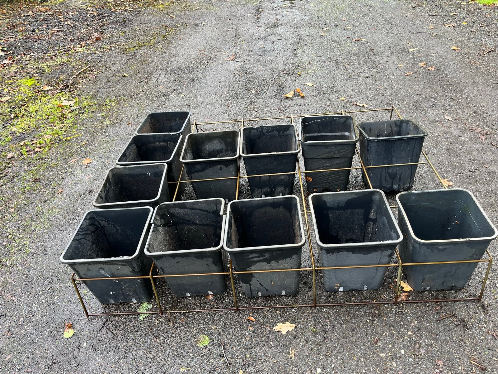 20 Gebruikte Zwarte Kunststof Bloempotten in Rek, Kunststof, Gebruikt, Minder dan 30 cm, 100 cm of meer